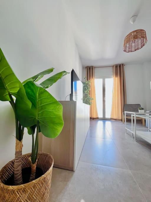 Lovely Apartment Close By City Center 马拉加 外观 照片